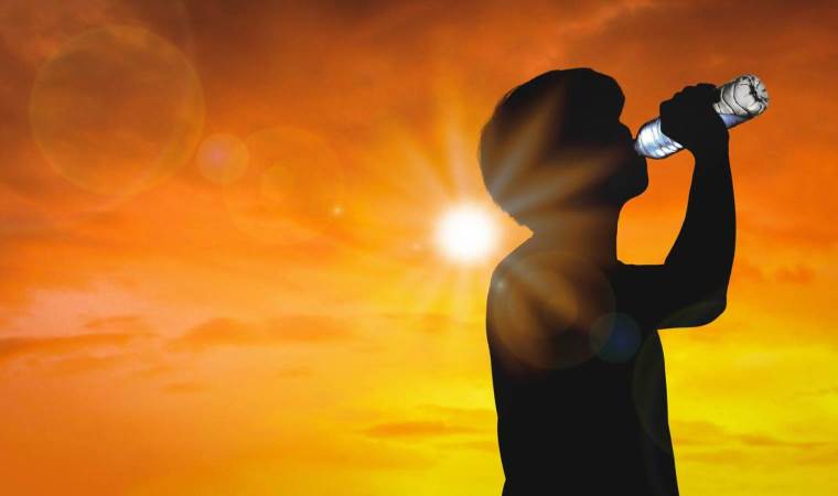 Heat wave response under scrutiny in Belgium after 1,222 Heat wave response under scrutiny in Belgium after 1,222