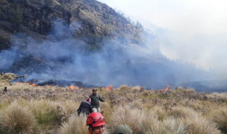 Indonesia’s Mount Bromo wildfire enters 8th day, burns Indonesia’s Mount Bromo wildfire enters 8th day, burns