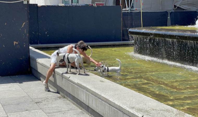 Germany’s killer summer: Heat waves claimed record