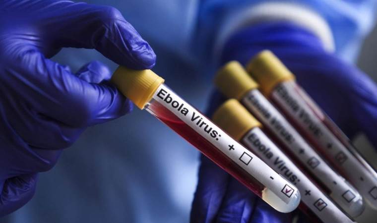 WHO reports 5,794 Ebola cases and 2,786 deaths in Congo WHO reports 5,794 Ebola cases and 2,786 deaths in Congo